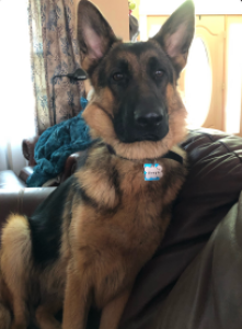 Freya