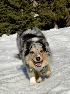Twyla